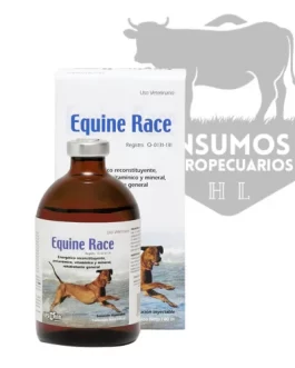 Equine Race Small Species