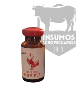 Filipino Red Viper