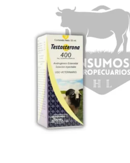 Testosterone 400