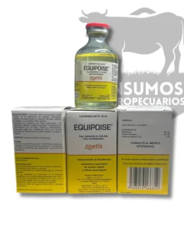 Equipoise