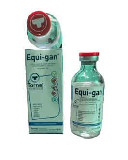 Equi-gan