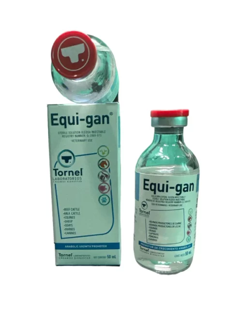 Equi-gan