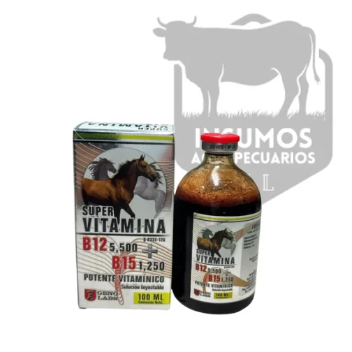 Super Vitamin B12 5500 + B15 1250